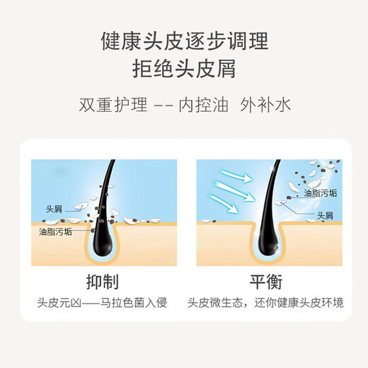 浅香洗发水沐浴露护发素套装大瓶家庭装蓬松控油去屑留香洗头膏男女士 扁柏 750g*1瓶 【赠62g旅行装】