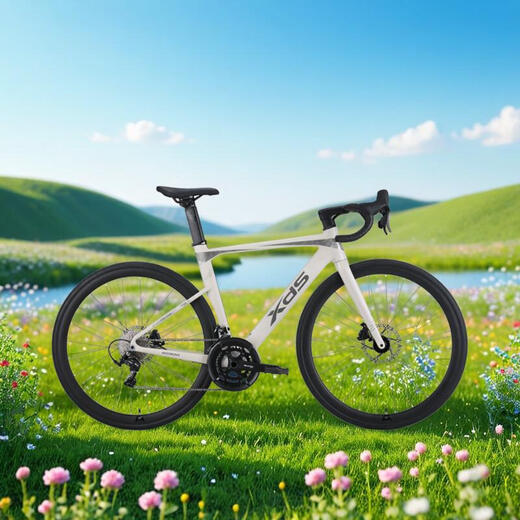 Xidesheng (XDS) [Wu Lei Recomendado] Bike de carretera AD300 Carril de 18 velocidades Fitness Sports Road Bike 25 White Snake-El envío de vehículos enteros 480 mm