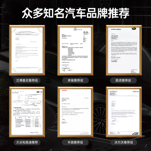 Blue Dolphin German PEA fuel treasure removes carbon deposits three-way catalytic cleaning agent deep cleaning gasoline additive 100ml 3 bottles