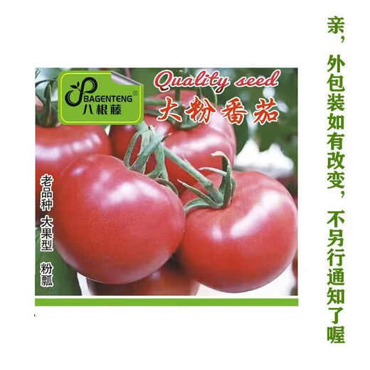 Farmer's Big Pink Tomato Seeds Big Red Four Seasons Woolly Pink Persimmon Seeds Tomato Seedlings Balcony Garden Vegetable Seeds Big Tomato Seeds 666 + Song Fertilizer