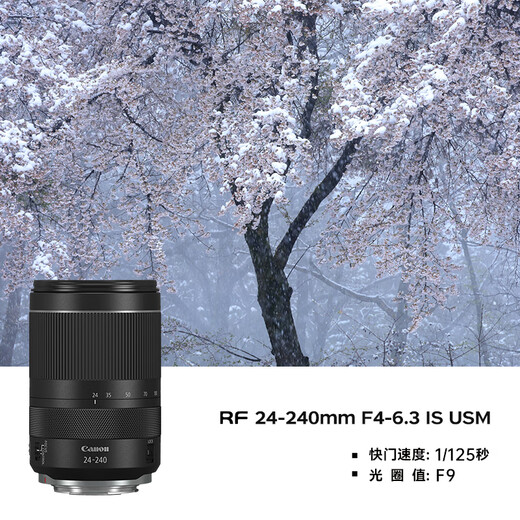 Canon r5 professional mirrorless camera, bird shooting equipment, digital camera, eos r5 full frame Vlog camera, 8K video shooting, place an order for Labubu & Jindou R5 disassembled body + RF24-105 IS USM set, package three, original shoulder bag + outdoor shooting fill light + professional photography tripod