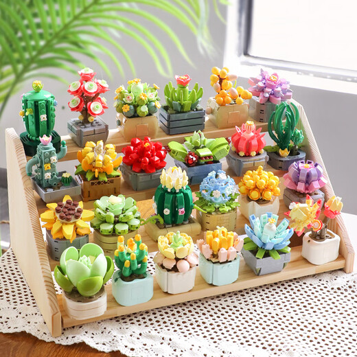 Fermi compatible LEGO children's assembly building blocks toys potted ornaments for boys and girls birthday gifts succulent-meat cone S2281