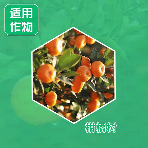 Guoguang Plant Source 2% Benzylaminopurine Rose Fruit Tree Flower Flowering and Germination Preserving Flower and Fruit Cytokinin 10m 10ml