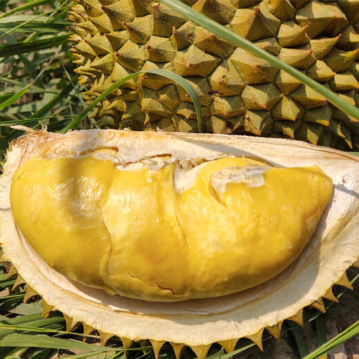 Shuxianyuan Thai Золотая подушка Durian Импортировал Durian Whole Box Gift Fresh Durian Fruit Gift Box [получена через день во многих местах] [А-класс.