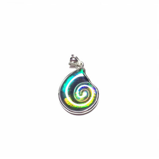 Shixi Canada's new other/other natural crystal/semi-precious stone necklace ammolite pendant