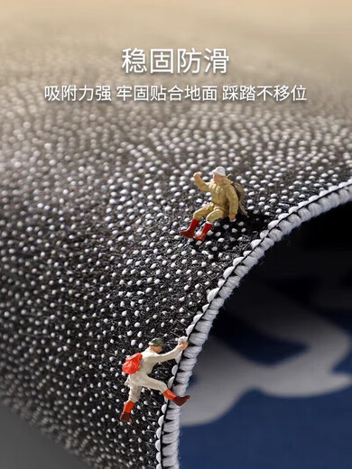 星晚入户进门地垫客厅玄关过道大门口防滑耐脏毯子耐磨脚垫大面积定制 M-724 （定制联系客服）