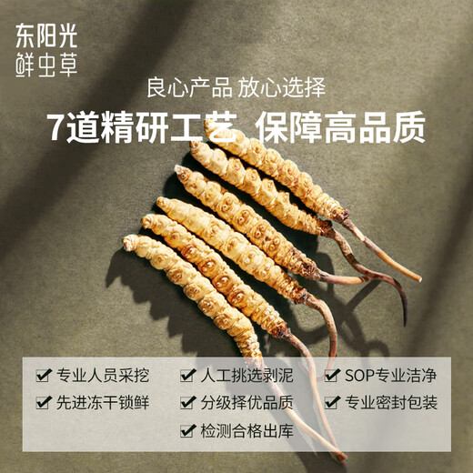 东阳光冬虫夏草3-4根/g75g约260根滋补礼盒冬虫草营养品补品送长辈老人