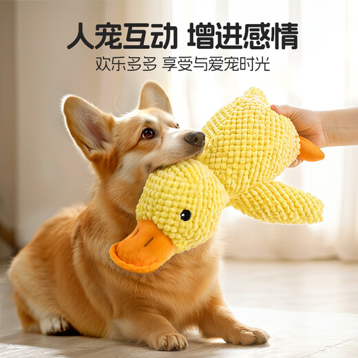 Qi Oh Dog Toy Resistant to Bite and Molars, Sound Toy for Medium and Large Dogs, Border Collie Corgi, Boredom Relief Artifact, Pet Supplies, Sound Toy, Charge Duck, Medium Size 32*28cm