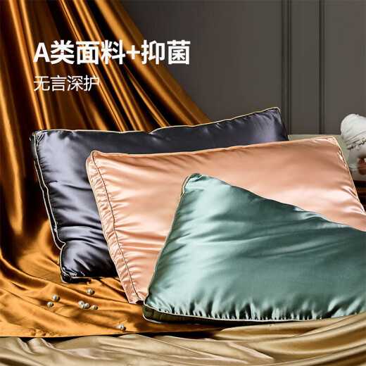 Fu Anna Home Textiles 100% Mulberry Silk Class A Fabric Antibacterial Silk Pillow 1200g Silk 70*45cm Jazz Gray
