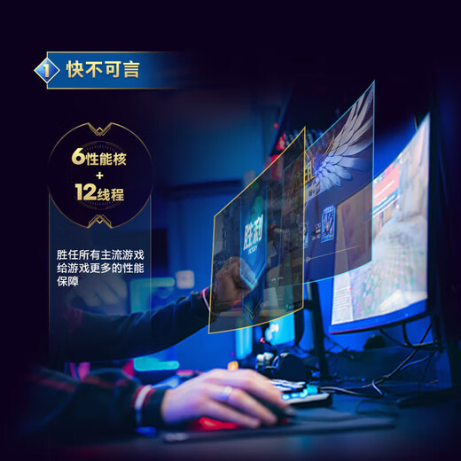 MSI 24-issue interest-free i5 12600KF14600KF 50605070TI Black Myth Wukong e-sports game design AI computer host desktop assembly machine 14600KF丨32G丨1T丨9060XT丨Configuration five