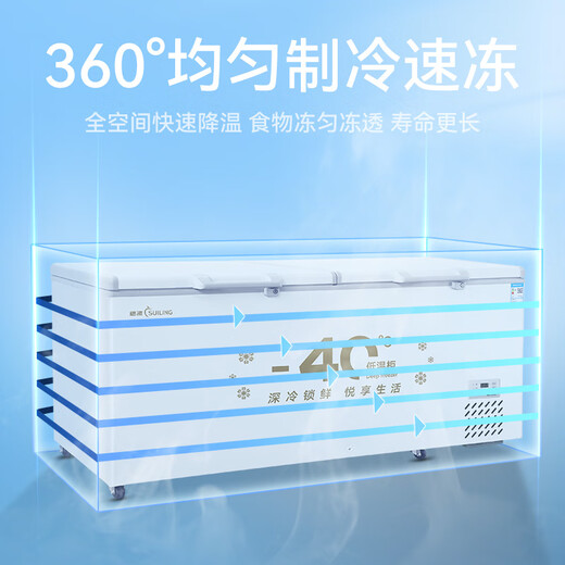 Congélateur suiling commercial congélateur grande capacité réfrigérateur horizontal réfrigérateur convertible réfrigérateur commercial réfrigérateur restaurant stand gard stand hôtel cuisine adaptée au réfrigérateur commercial - 40 / niveau d'efficacité énergétique / nouvellement lancé BD-828DW