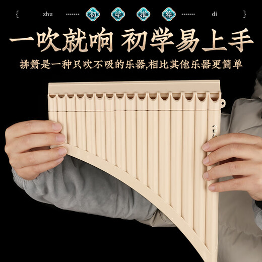 骊歌排箫乐器16管18管初学者儿童入门小学生专用演奏C调易学高端排笛 升级款16管米白色+刻字