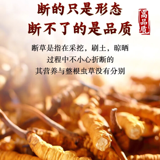 Support quality inspection 100 grams to get 10 grams of big broken grass Authentic Cordyceps sinensis Cordyceps sinensis Cordyceps sinensis and self-eating tonic Cordyceps sinensis Cordyceps sinensis 10 grams to get one gram