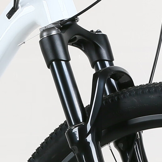 XIDESHENGEN Mountain Bike Bikes 700 Tage für Tag für Männer und Frauen Erwachsene Teenager Radsportsportspeed Racing Bike Pendeln weiß und schwarz 17 Zoll