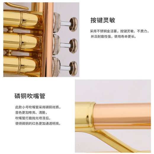 津宝小号乐器降B调JBTR-020小号磷铜吹嘴白铜变音管初学演奏考级教学