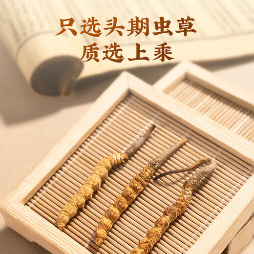 雷允上冬虫夏草冬虫夏草精选品质高洁净虫草送父母送亲友礼物送礼送长辈 冻干虫草A40-20g