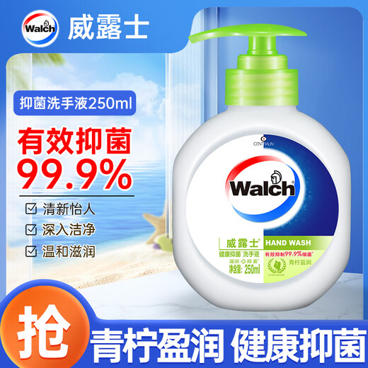 Velox Healthy Antibacterial Hand Sanitizer 250ml Lime Rich Foam Easy to Rinse Hand Care for Children and Students