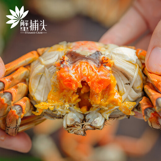 [Gift Certificate] Crab Head Crab Gift Card Crab Collection Coupon Crab Card Exchange Coupon Pickup Card Hairy Crab Voucher Type 698 Full Female Crab 2.0 Two Pack 8