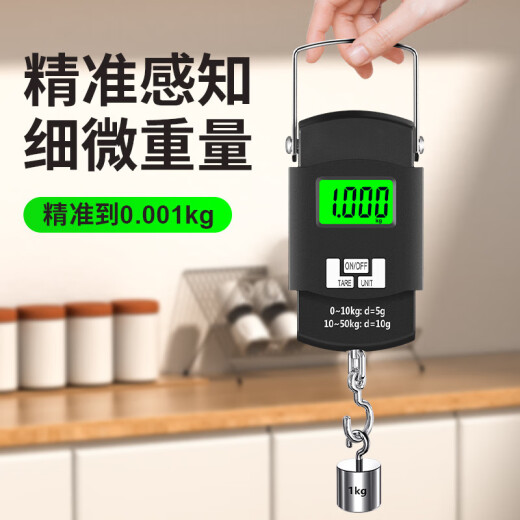 100斤高精度手提电子秤小型快递称便携式家用钩商用吊勾弹簧行李 手提电子秤-100斤电池款 电池款