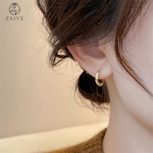 In the wild hoop earrings 2025 new trendy women unique niche unique light luxury high-end earrings simple autumn and winter earrings diamond small earrings gold