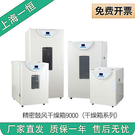 Renjuyi customized DHG-9070A/9075A/9140A/9145A/9240A Electric-thermal constant temperature blow drying box DHG9203A(250)