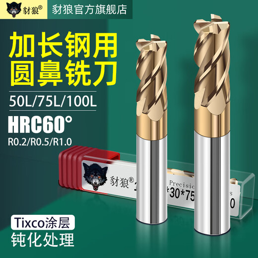 60 degree tungsten steel round nose milling cutter R angle carbide extended 75L 100L steel bull nose cutter 10R0.2 R0.5 R1 6R0.5*20*6*75*4F*60S