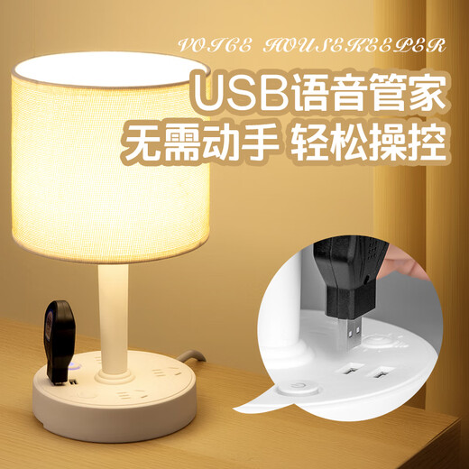 雅奈捷LED装饰台灯插座一体简约现代家用卧室遥控床头柜灯ins网红小夜灯 688 白色 USB款 带双USB 1.8米