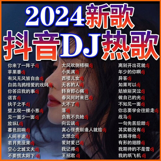 2024抖音流行新歌DJ网络热门音乐U盘网红歌曲dj重低音舞曲MP4优盘 抖音热歌DJ--畅听不犯困 【1390首+200视频中文DJ歌曲】