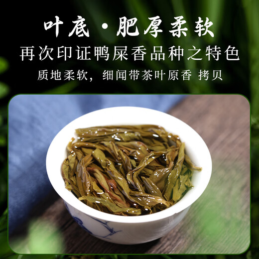 枞大师凤凰鸭屎香单枞茶叶 潮州高山乌龙单从茶