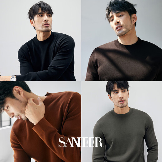 SANHEER Winter BI High-End-Pullover Deutscher Jangtse-warmer Woll-dicker Herren-Halbrollkragenpullover DAZ687 kastanienbraune Farbe 50/L