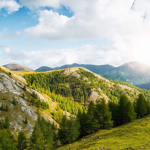 Garkoko Little Moon Teething Stick Baby Teething Stick Baby Teething Stick To Prevent Eating During Teething Period Yuanyuanyang Microsoft
