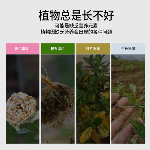 Devodo universal nutrient solution 500ml flower and green plant household flower fertilizer pothos fortune tree potted organic fertilizer