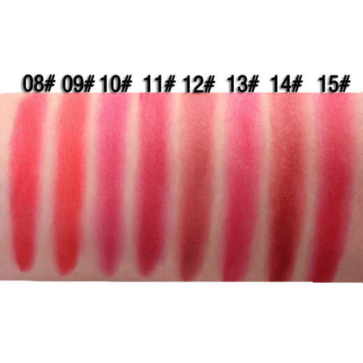 Other brands of children's stage makeup lipstick multi-color lipstick palette lip gloss palette combination non-fading 26-color lipstick palette for studio makeup artists