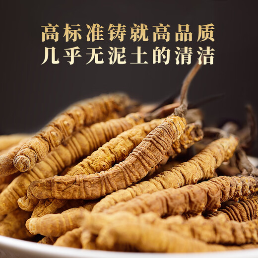 Baomingtang Cordyceps sinensis frisches Heu 1 Gramm volle Qualität ohne Gras ohne leeres Gras Geschenk Tonic für Selbstverwendung 1 g/Flasche