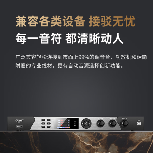 Melody DSP9500 karaoke reverberation digital audio pre-amp effector home theater anti-howling mixer processor professional microphone stage performance processor Bluetooth version effector + self-charging microphone set standard version