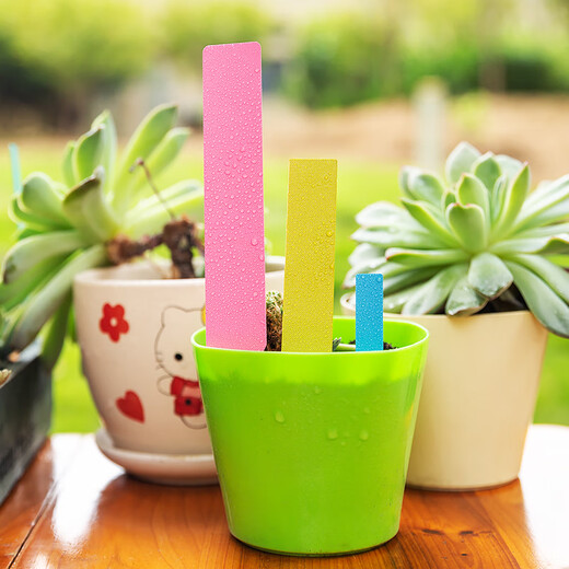 Benxinnong garden succulent plant plastic ground sign one-line label flower succulent gardening ground sign 25x4 (white) 100 sheets