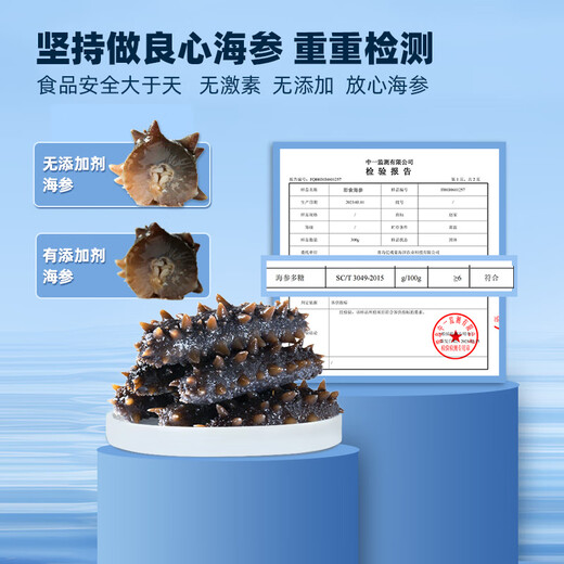 Zhaojia Dalian ready-to-eat sea cucumber base sea cucumber Net content 2Jin Jin equals 0.5kg (26-36 pieces) Straight from the source