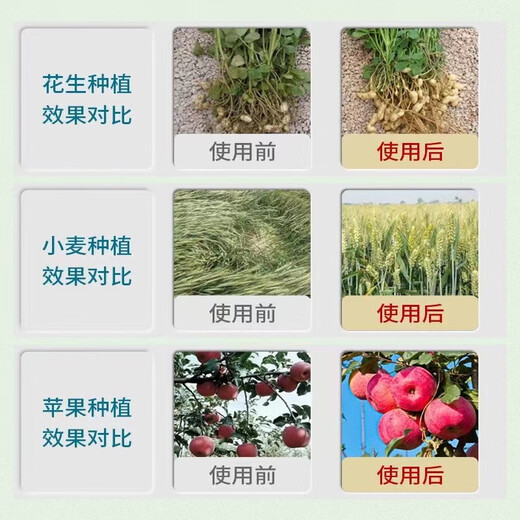 Guoguang Guoguang Ximu brassinolide lactone flower foliar fertilizer to alleviate phytotoxicity plant growth regulator Guoguang Ximu 100mlx1 bottle
