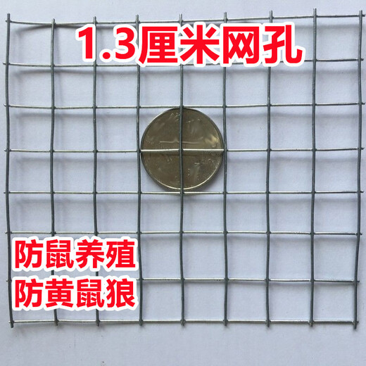 Zhongji Wanxing hot-dip galvanized wire mesh steel wire mesh breeding mesh anti-rust window sealing balcony wire mesh chicken pigeon rabbit cage anti-rat and snake fence 1 meter high 1.6 cm hole 0.7mm thick 10 meters long