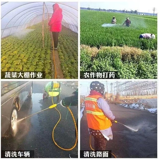Gasoline powered hand push sprayer non-electric 2024 new high-pressure agricultural sprayer disinfection sprayer truck 300L 1 piece with 100m pipe