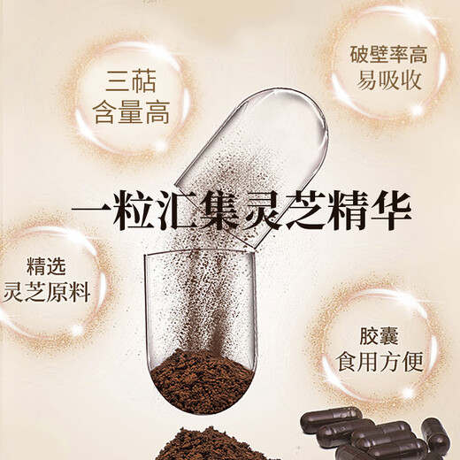 Zhishentang Eu Bio -Bruch Wand Ganoderma Sporenpulver Kapseln Verbesserung Immunität Ergänzung zwei Flaschen Geschenkbox Kaufen Sie drei Get Upgrade Version 60 Kapseln/Flasche Sanzhi Drei Serie Bio Breaking Wall Spore Pulver Capsules