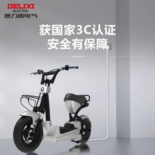 德力西(DELIXI) 电源插座延长线/电线插座/延长线插座电动车充电延长线/插排/排插 10A 全长0.6米无开关