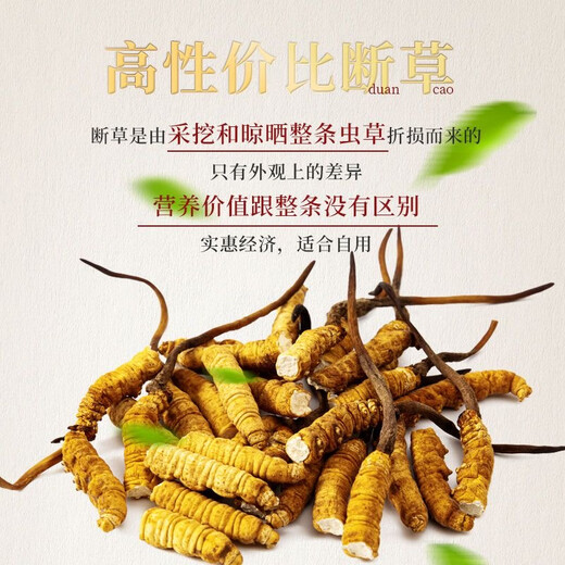 藏区直发正宗天然高海拔冬虫夏草断草干货大号虫草纯肉节自吃实惠 藏区高海拔大断草1克（体验装）