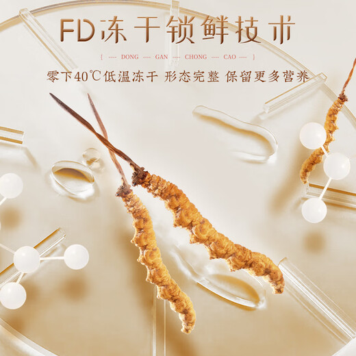 胡庆余堂冬虫夏草礼盒 地号32#高品质西藏产冻干虫草 送父母长辈节日礼物 20克礼盒32#【升级款】