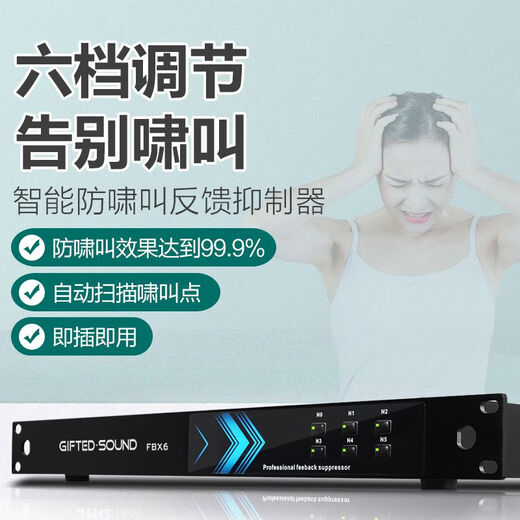 Yingsheng GIFTED SOUND professional feedback suppressor wireless microphone audio microphone conference performance one-click anti-howling frequency shifting peripheral FBX6 professional feedback suppressor