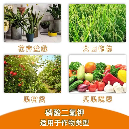 Guoguang Guoguang potassium dihydrogen phosphate genuine agricultural foliar fertilizer flowers special nursery stock fruit tree flower cultivation Runerjia potash fertilizer Guoguang Runerjia 100gx2 bags