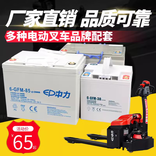 Zhongli electric forklift battery Little King Kong handling forklift battery battery 24V40AH48V20AH lithium battery EPT20-15ET2L 24V 50A