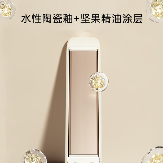 RIWA Splint Curling Iron Straight Clip Negative Ion New Year Gift Hair Straightening Plinth Curling and Straightening Dual-Purpose Men and Women Bangs Clip Inner Buckle Straightening Anti-perm Birthday Gift RB-8160