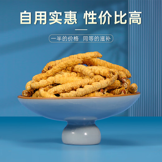Zangxitang Cordyceps sinensis Xindan Pure Meat Festival Cordyceps erschwingliche Familie Tonic