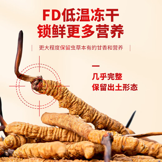 同芙 冬虫夏草3根/g 50g 约150根礼盒装 滋补营养补品送长辈礼品礼物